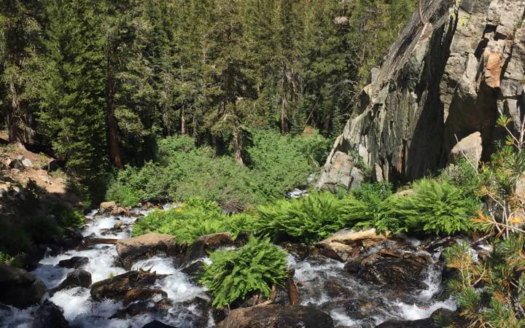 stream and mountains